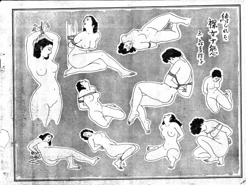 illustration shibari kinbaku